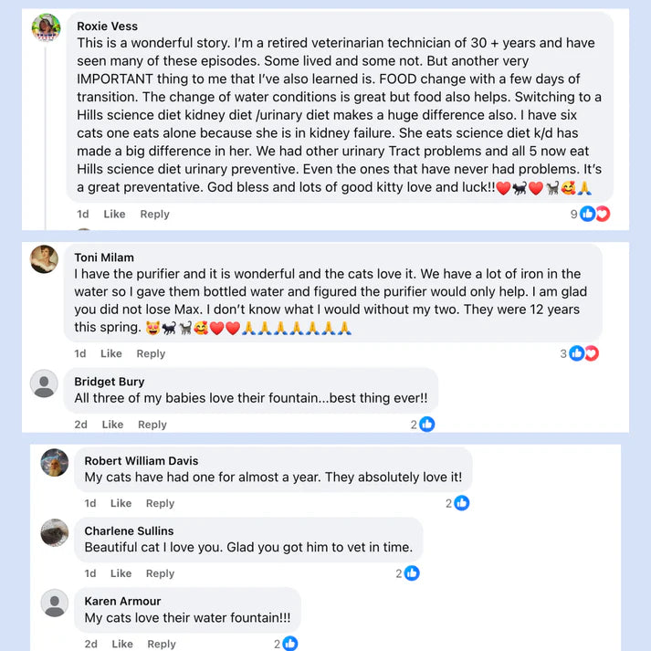 Allagu Cat Water Fountain