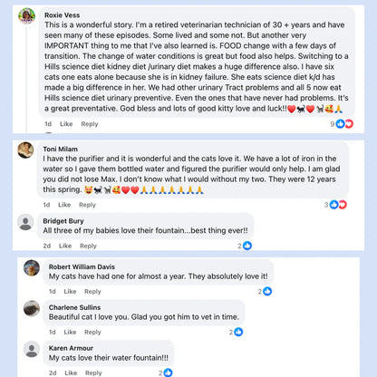 Allagu Cat Water Fountain