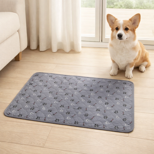 PetPad™ : The Durable Leak-Free Potty Pad